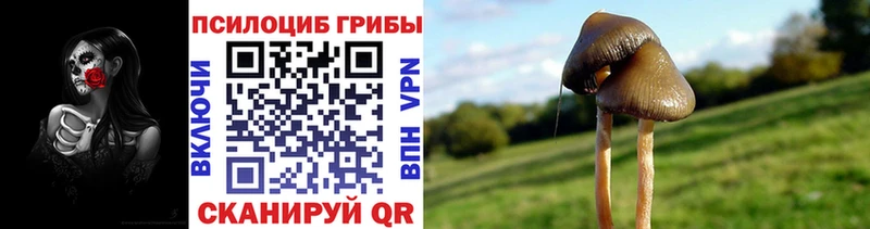 Галлюциногенные грибы прущие грибы где купить наркоту Грайворон